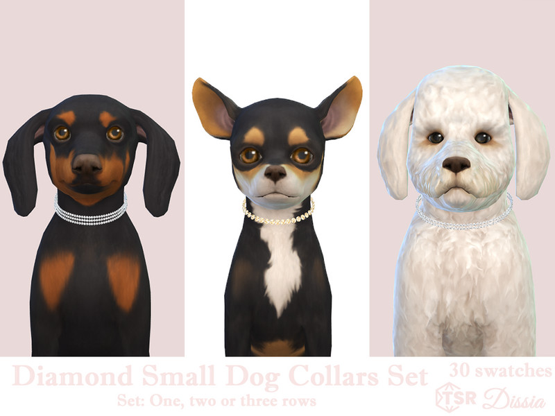 Diamonds Small Dog Collars Set by Dissia – CAS