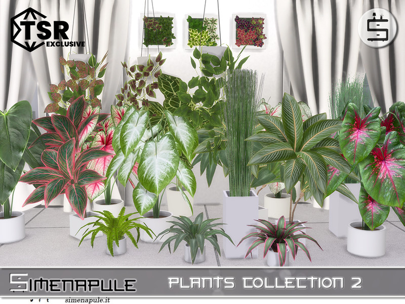 Plants Collection 2 by Simenapule – Decor