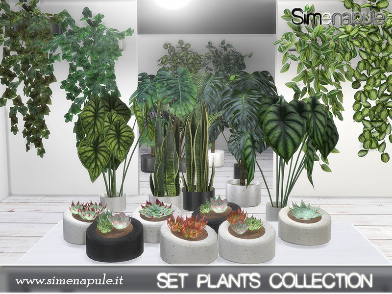 Plants Collection by Simenapule – Decor