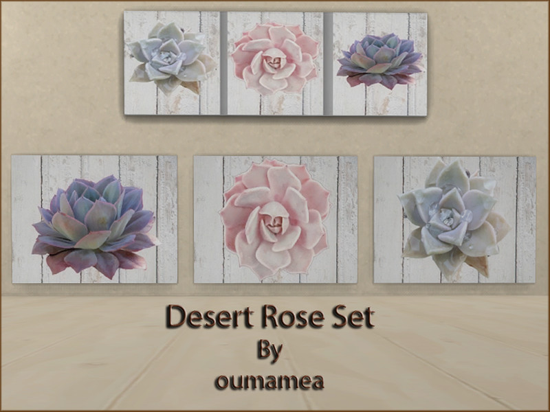 Mea Desert Roses Set On White Wood Panels by oumamea – Decor