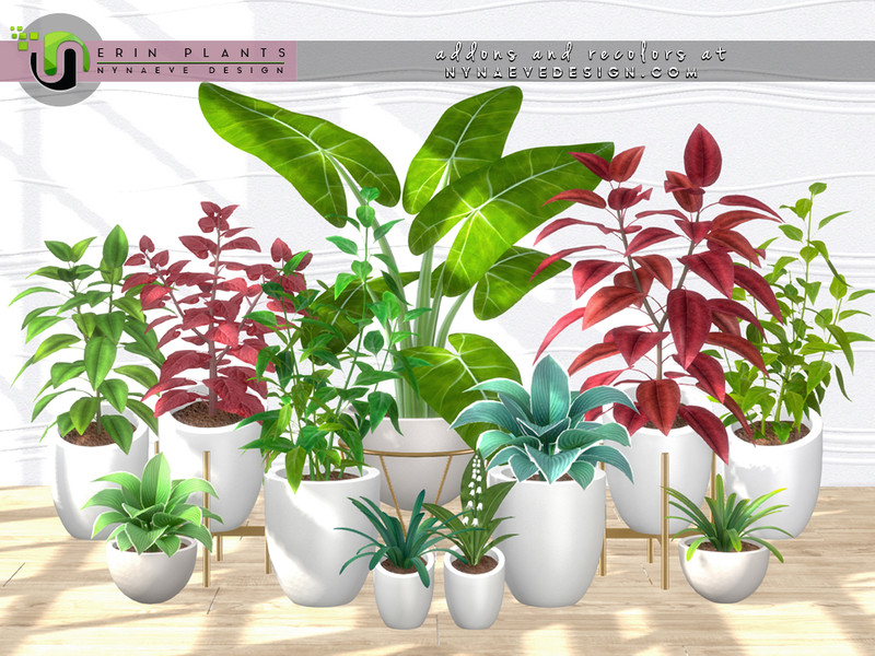 Erin Plants Ii by NynaeveDesign – Decor