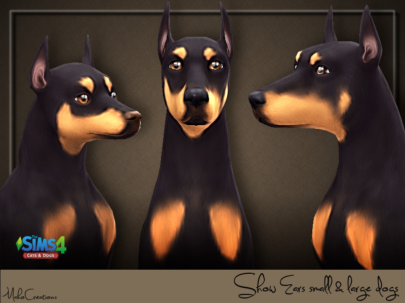 Show Ears Dogs by MahoCreations – Decor