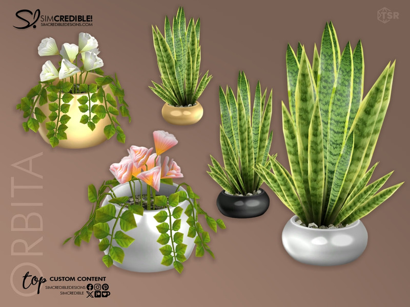 Orbita Study Plant by SIMcredible! – Decor