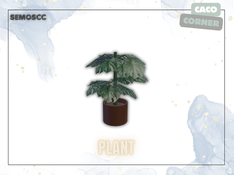 Scc Caco Plant by semoscc – Decor