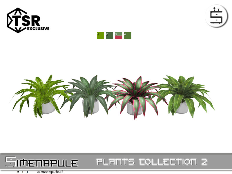 Sen4 Plants Collection 2 Plant 04 by Simenapule – Decor