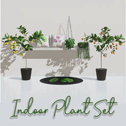 Indoor Plants Set by simmerkate – Furniture