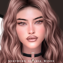 Make Up and Presets Set by northern_siberia_winds – CAS