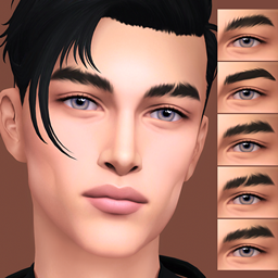 Male Eyebrows P by ANGISSI – CAS